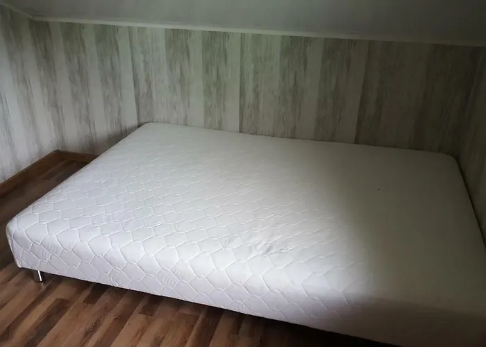 Letniskowy Nad Jeziorem W Steszewku 山林小屋